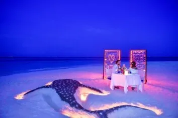 Signature Dining