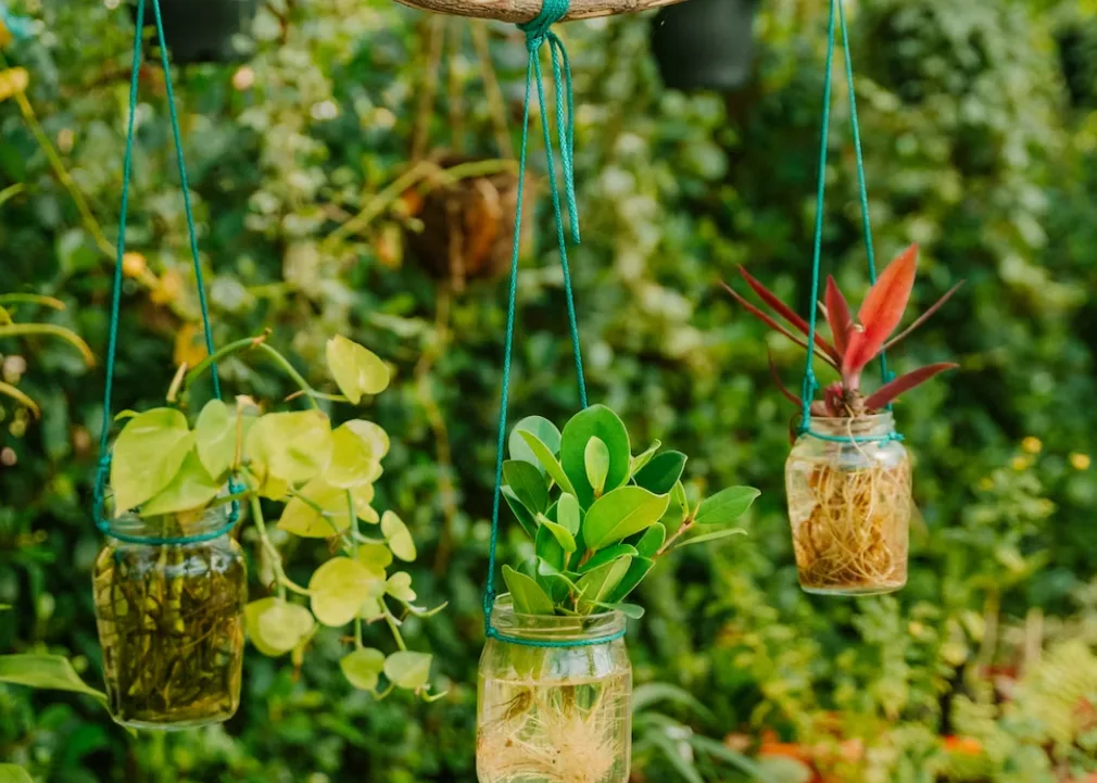 Garden Bar