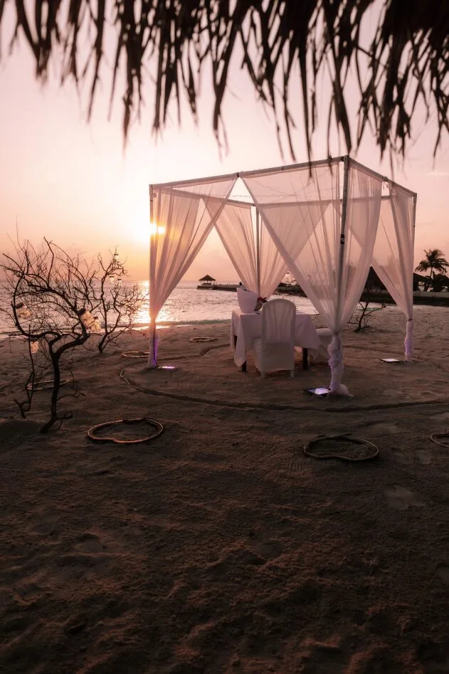 Honeymoon Dinner