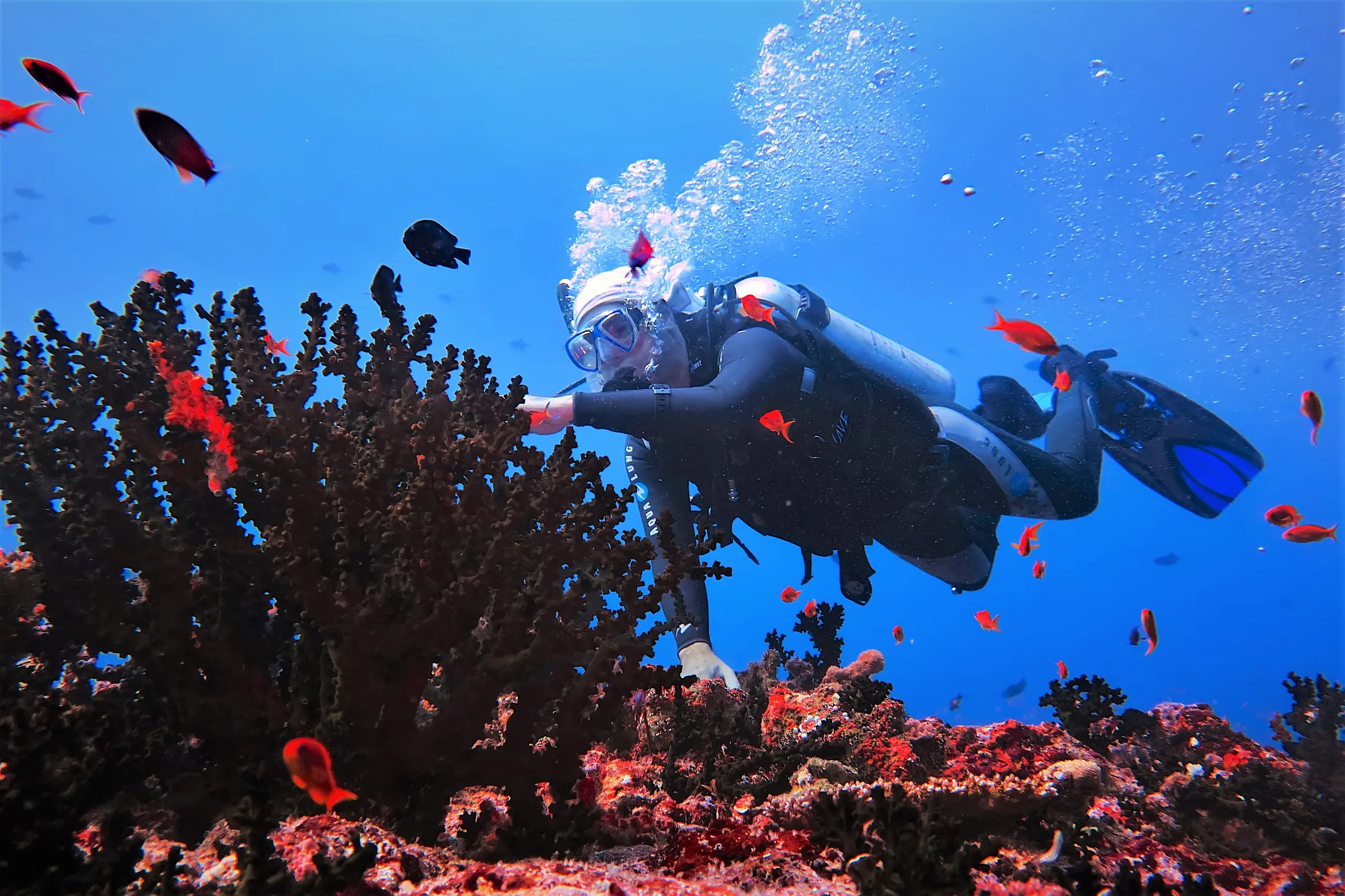 Diving