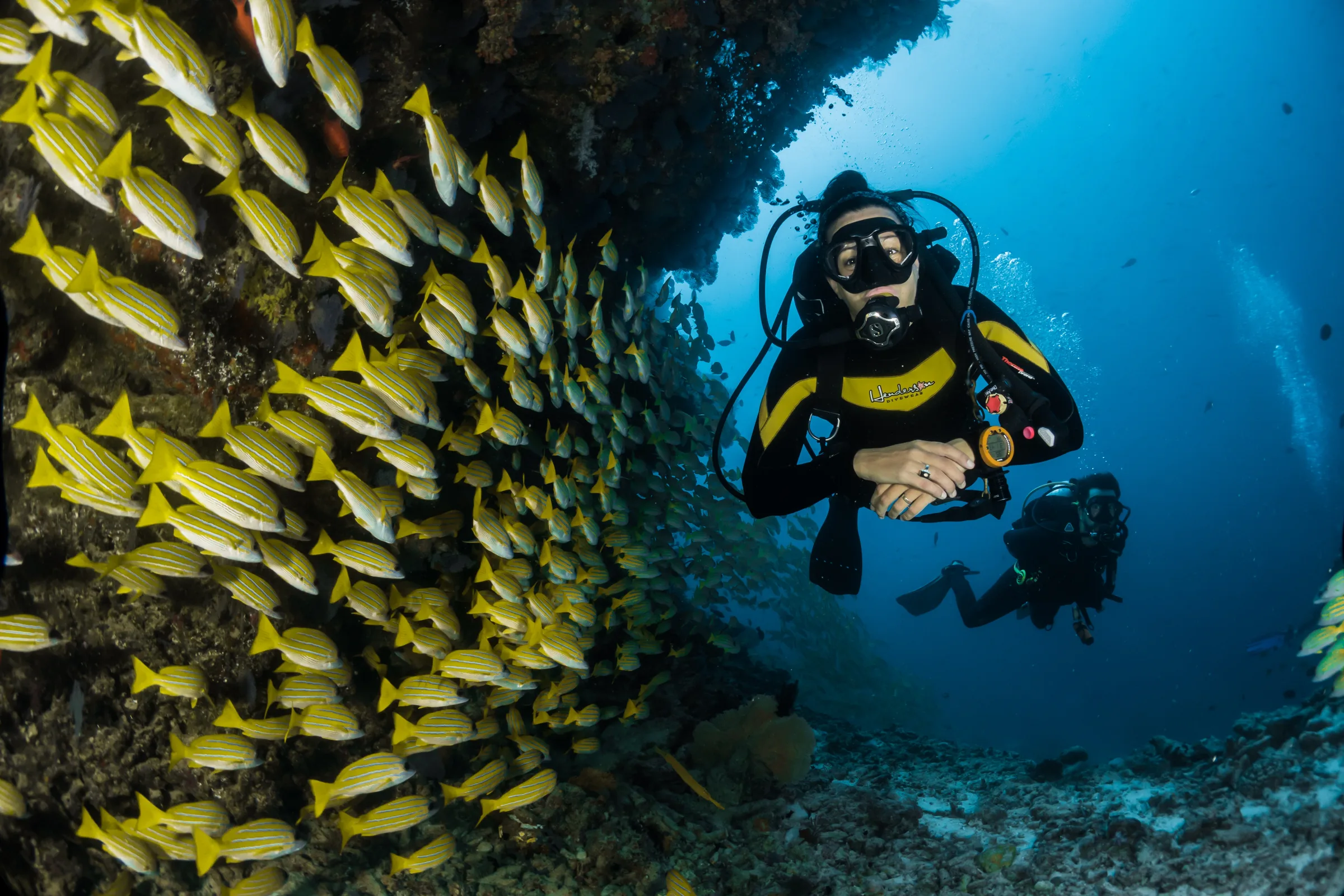 Dive Points