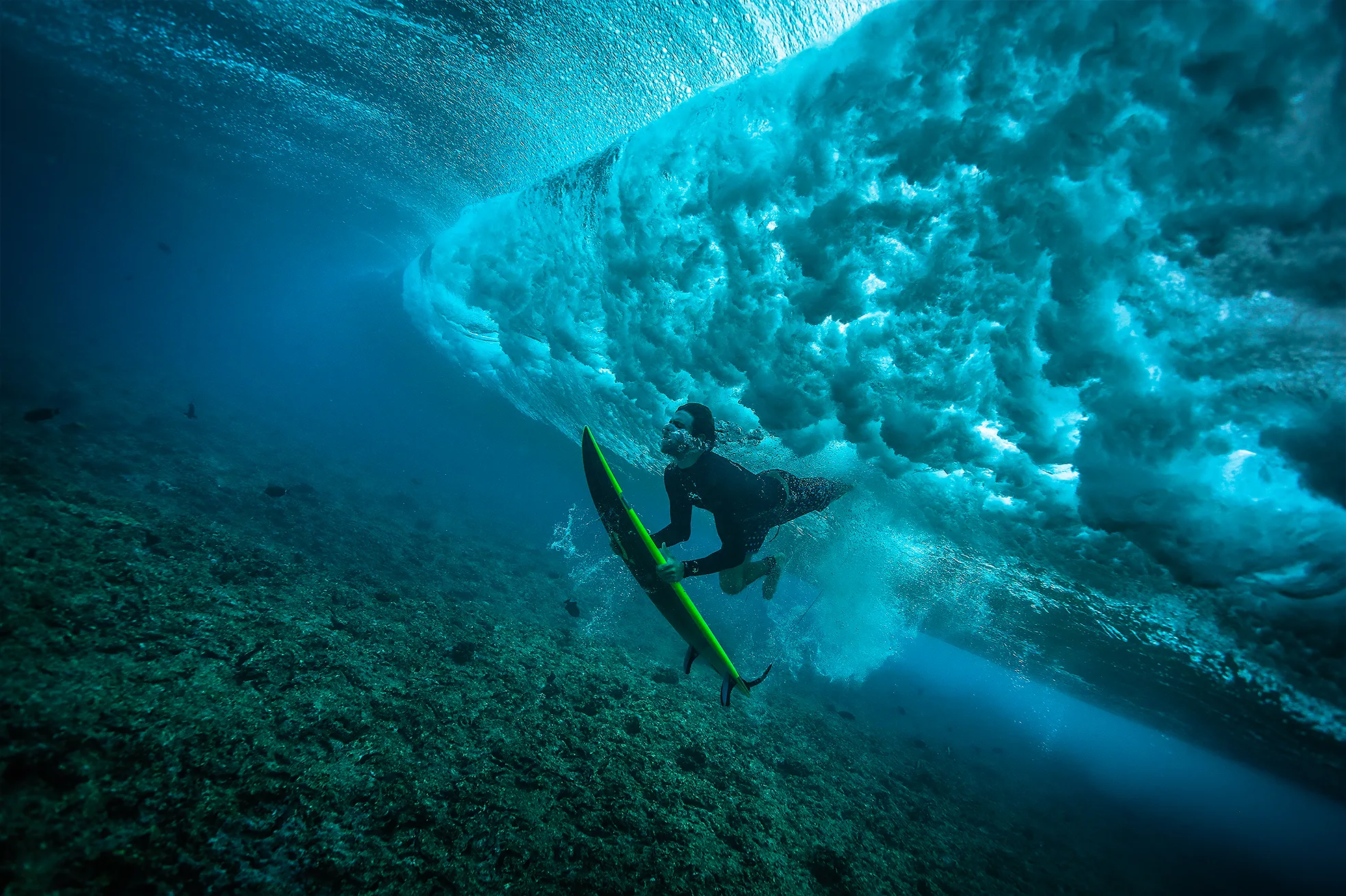 Surfing