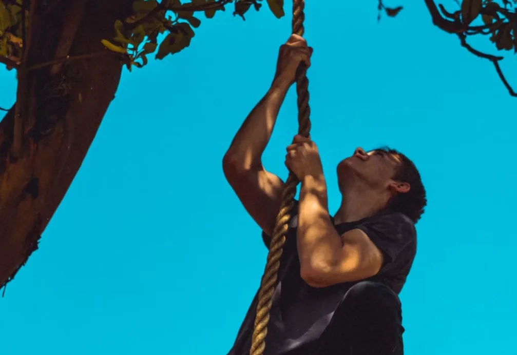 Treetop Adventures