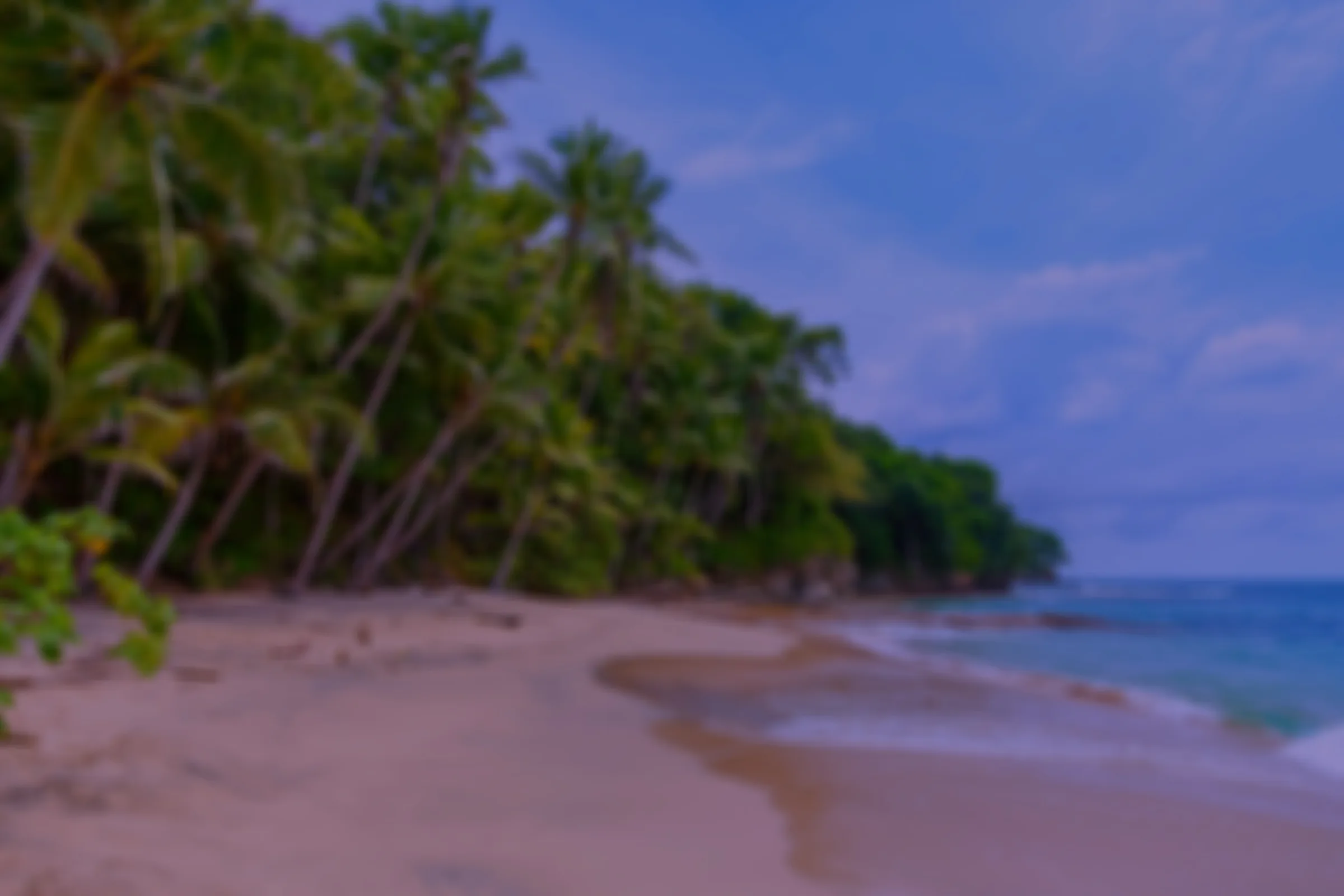 Spirit of Maldives — photo 4